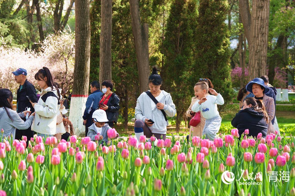 🌸皮皮虾【最准一肖一码一一子中特】-五大准双万城市盘点：合肥有望今年晋级，宁波、佛山等仍需增强人口吸引力  第6张