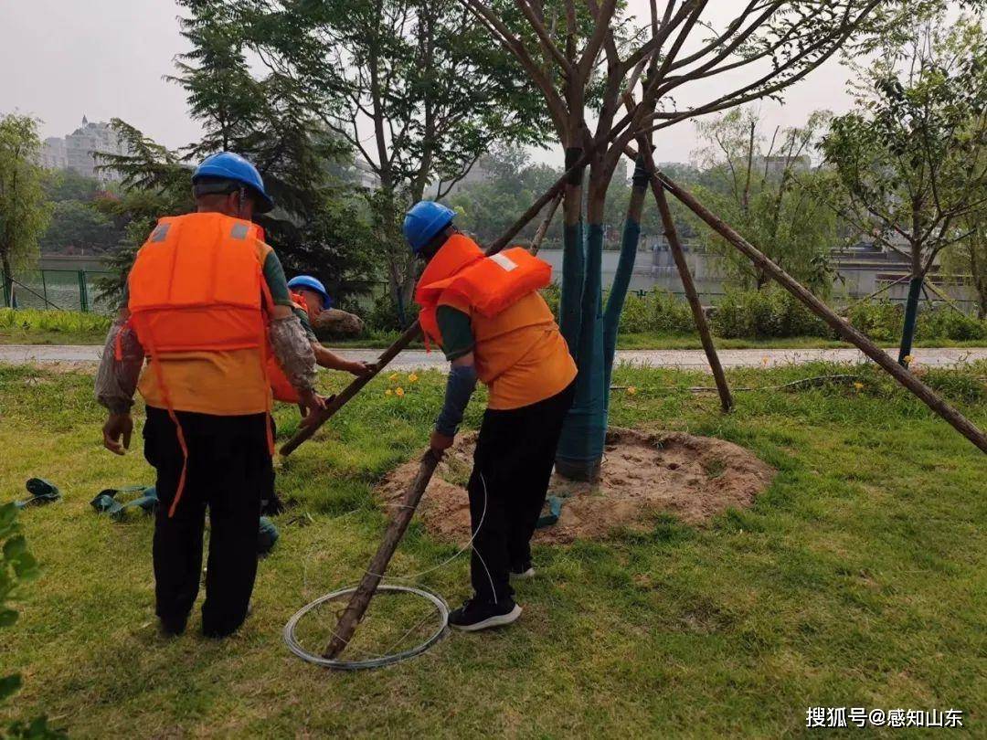 今日头条：澳门一码一肖100准今期指点-一米高度看城市：长沙邀全城儿童用脚步“丈量”儿童友好  第1张