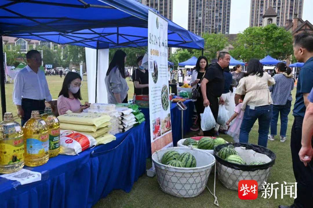 🌸快手短视频【管家婆一码一肖100中奖】-城市传媒（600229）5月14日主力资金净卖出623.24万元  第4张