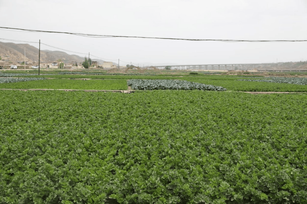 饿了么：澳门一码中精准一码资料-特别关注丨住建局更名：“住房和城市更新局”  第1张