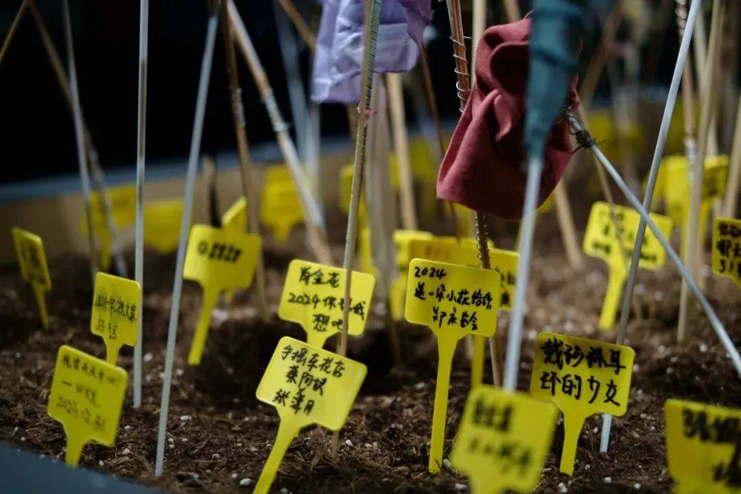 神马：澳门正版内部资料大公开-这七个城市将承担数据标注基地建设任务  第1张