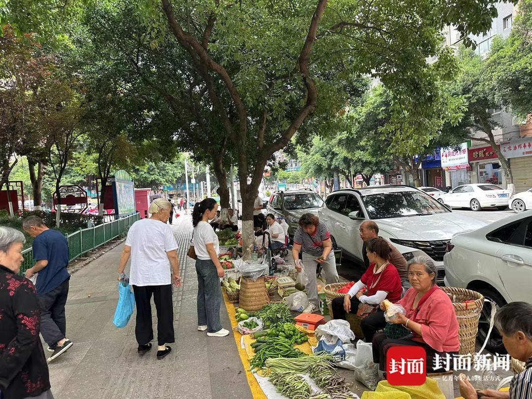 花椒直播：2024年正版资料免费大全-杨浦滨江人人市集：青春与创新碰撞，更是城市服务新实践  第4张