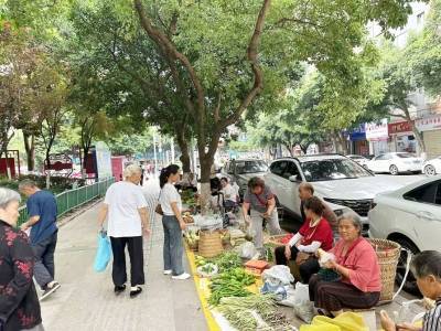 微视：澳门一码一肖100准今期指点-北京城市规划板块9月9日涨0.44%，京投发展领涨，主力资金净流入6489.77万元  第2张