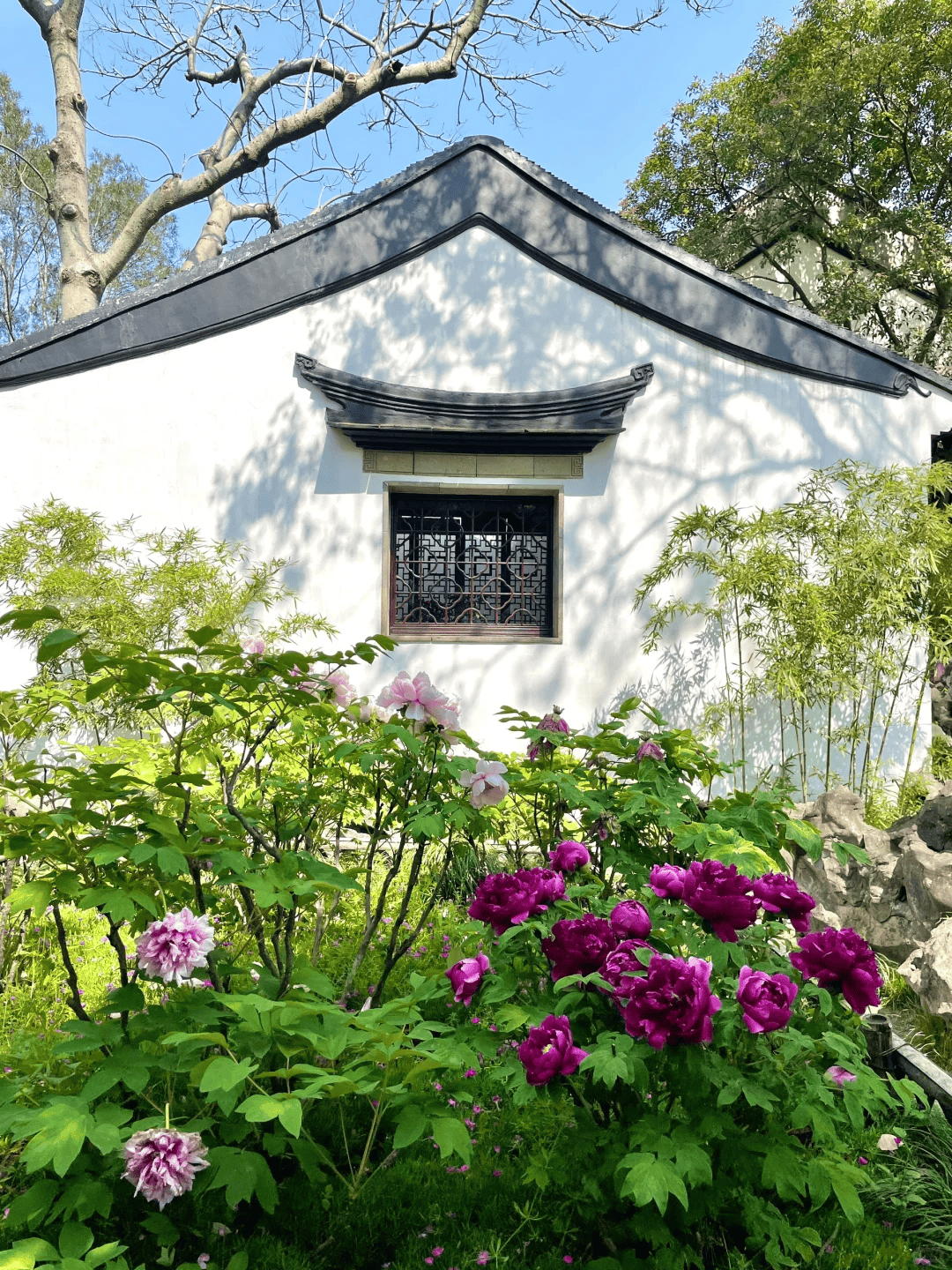 今日头条：澳门一码一肖100准今期指点-突发消息！黑海一港口城市遭袭击，已致超百人死伤→