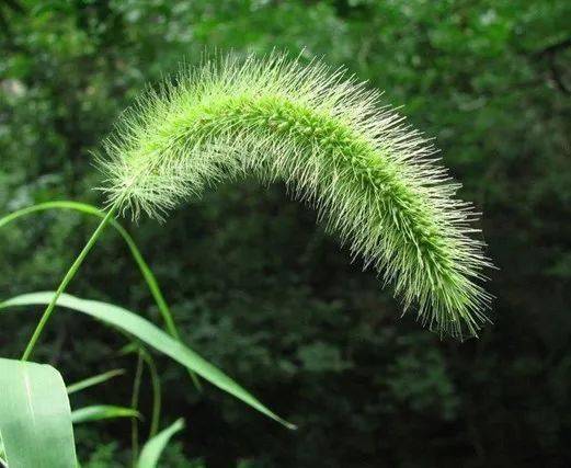 微视：澳门一码一肖100准今期指点-利好砂石 | 最高补贴12亿！财政部、住建部将重点支持城市基础设施更新改造  第1张