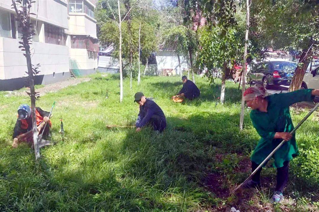 🌸凤凰视频【香港二四六开奖免费资料】-毕设合集 | 广州新华学院、广州城市理工学院、广州市白云工商技师学院  第1张