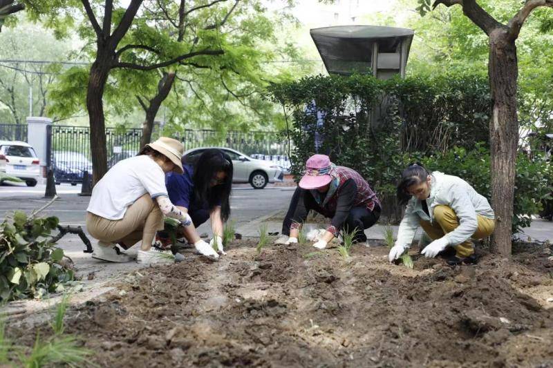 快手直播：最准一肖一码100%中奖-点亮城市与乡村的未来 博鳌绿色发展大会五月底将在成都召开  第2张