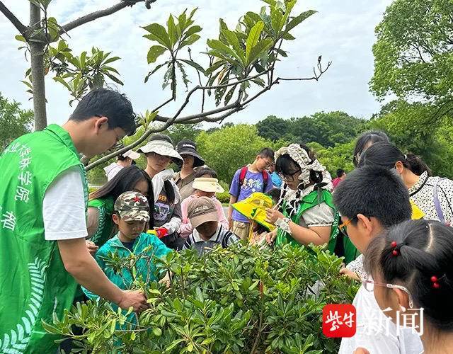 百度影音：澳门资料大全正版资料2024年免费福利彩票四加一多少钱-湖畔音乐节开放重新预约！上海城市剧院LoveRadio初夏歌会