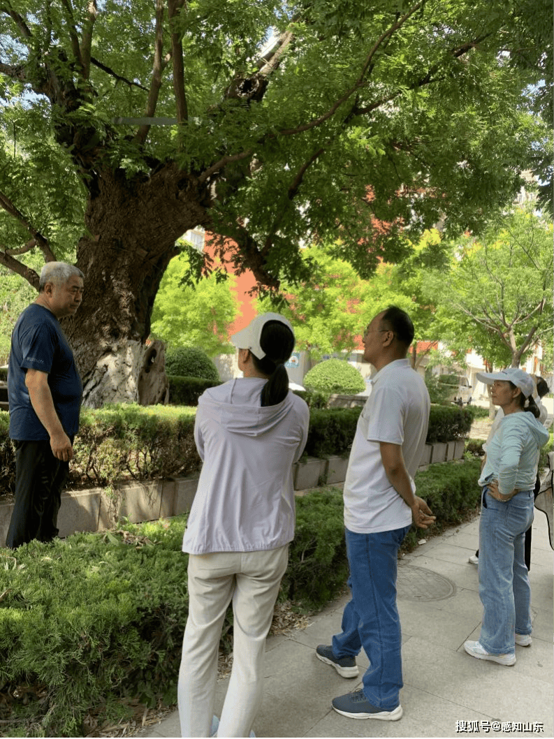 🌸芝士超人【2024澳门特马今晚开奖】-运河城市｜一周北京  第2张