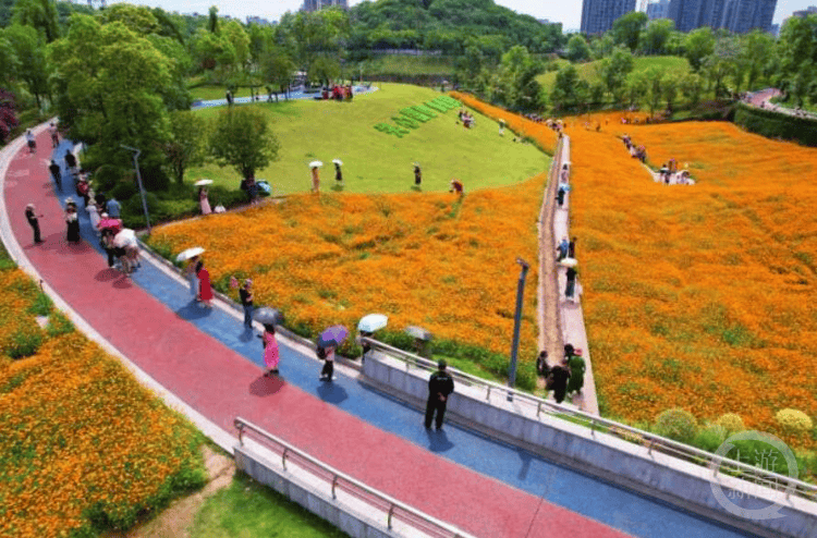 饿了么：澳门一码中精准一码资料-天水市城市建设投资（集团）有限公司2023年度公司债券履约及偿债能力分析报告出炉  第3张