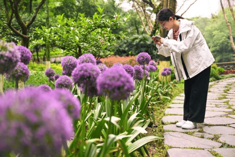 饿了么：澳门一码中精准一码资料-超大特大城市竞争进入下半场 广州成“抢企大战”最大赢家  第3张