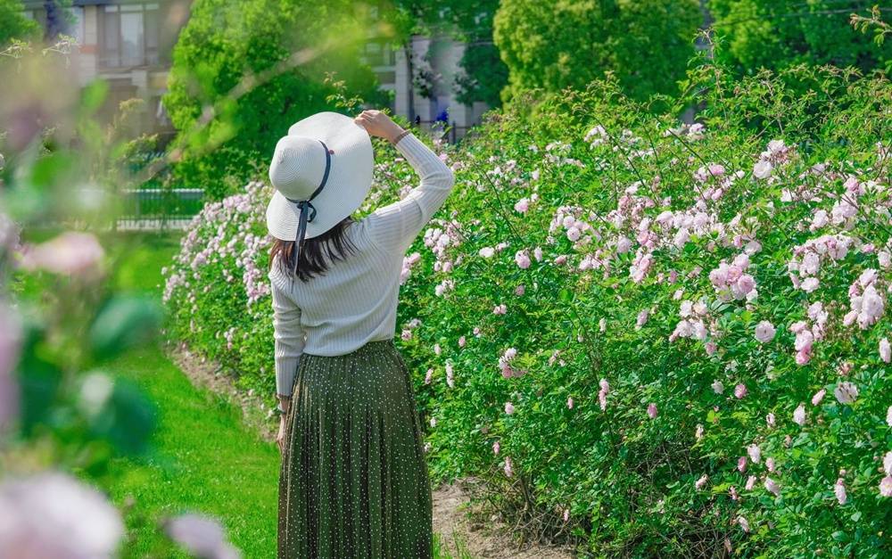 🌸爱奇艺【澳门一肖一码必中一肖一码】-全市创建全国禁毒示范城市工作推进会召开  第4张