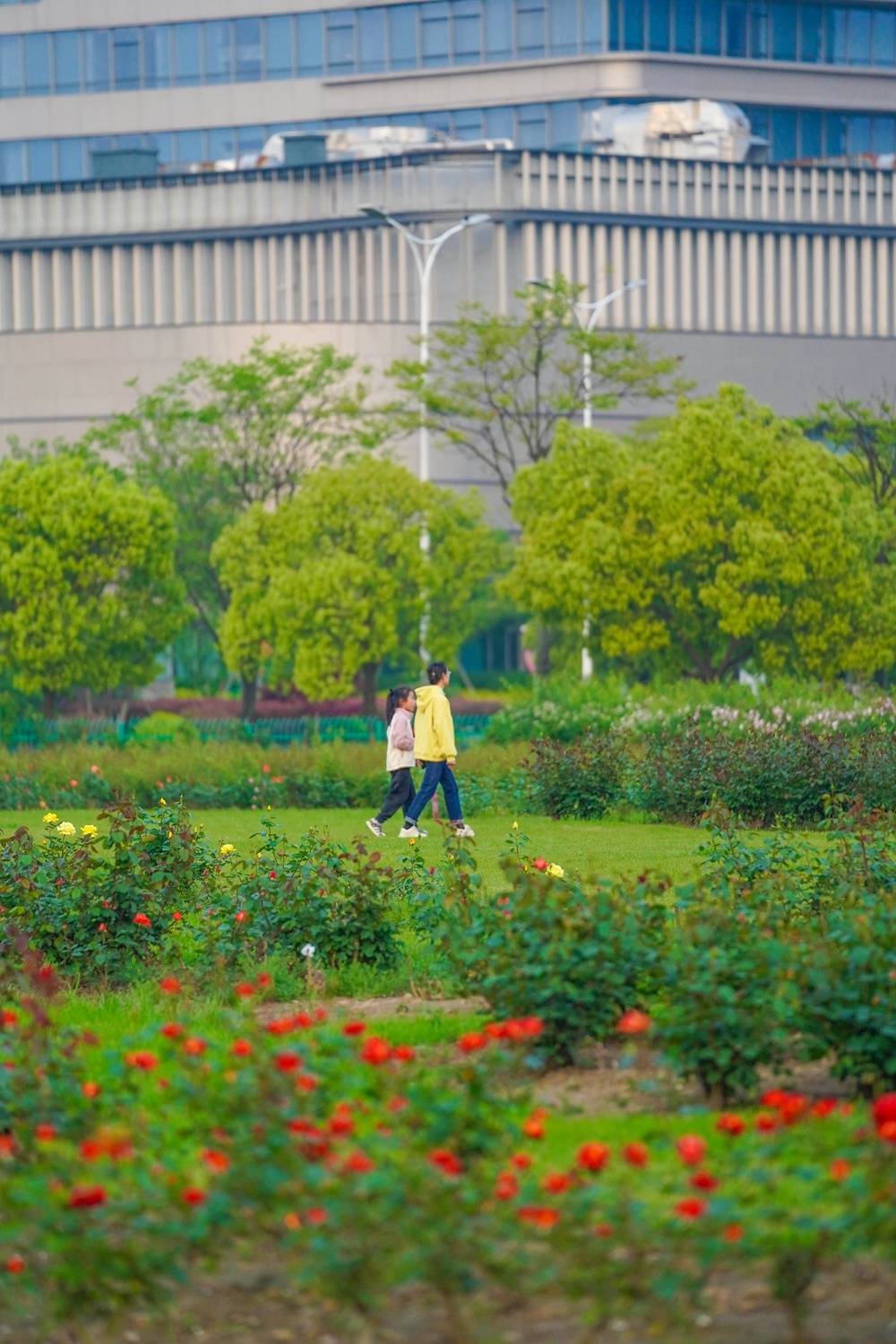 🌸小红书【澳门天天彩免费资料大全免费查询】-为城市更新助力添彩（快评）