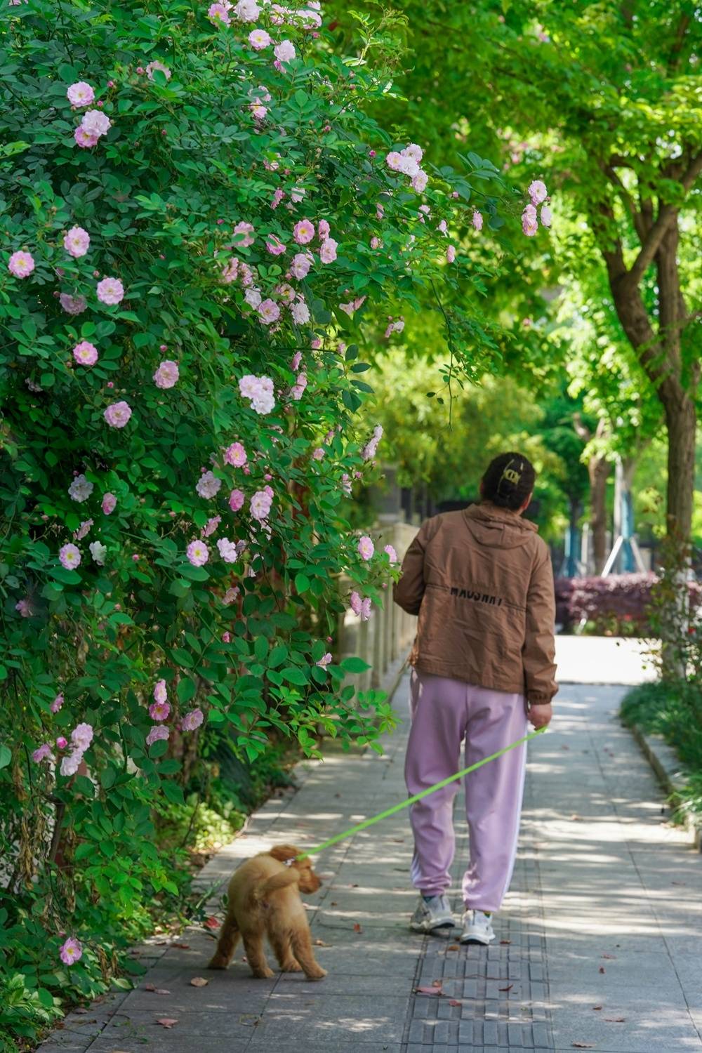 🌸腾讯【澳门一码一肖一特一中2024】-广州旧白云机场以北，起降着城市管理“无人机航班”  第2张