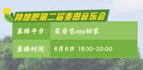 微视：澳门六开奖结果2024开奖记录查询-《这是我的岛》收官，“落日音乐会“见证少年乘风破浪之旅  第2张