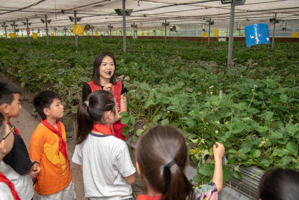 芒果影视：新澳门资料大全正版资料2023-建设国际一流营商环境标杆城市  第2张