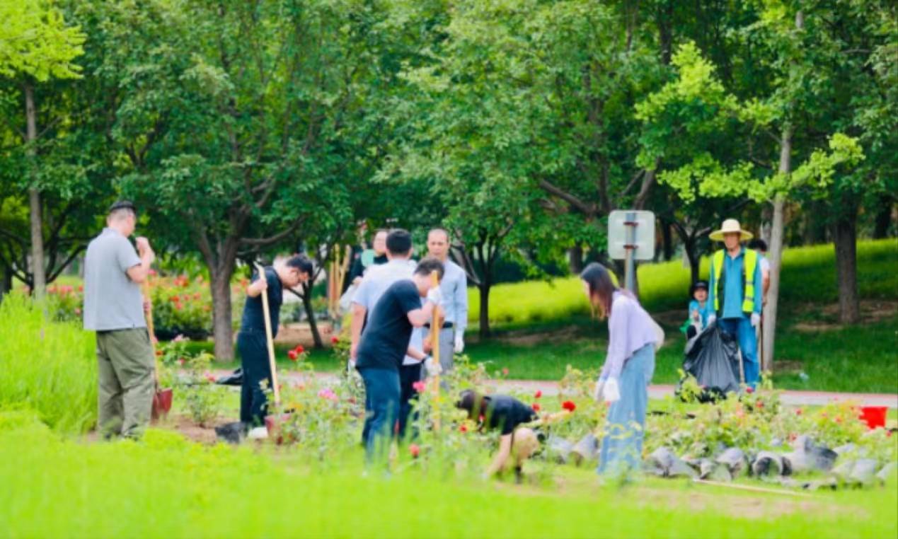 神马：新澳门内部资料精准大全-阜阳市博物馆丨领略千年的历史，感受古老城市的魅力  第3张