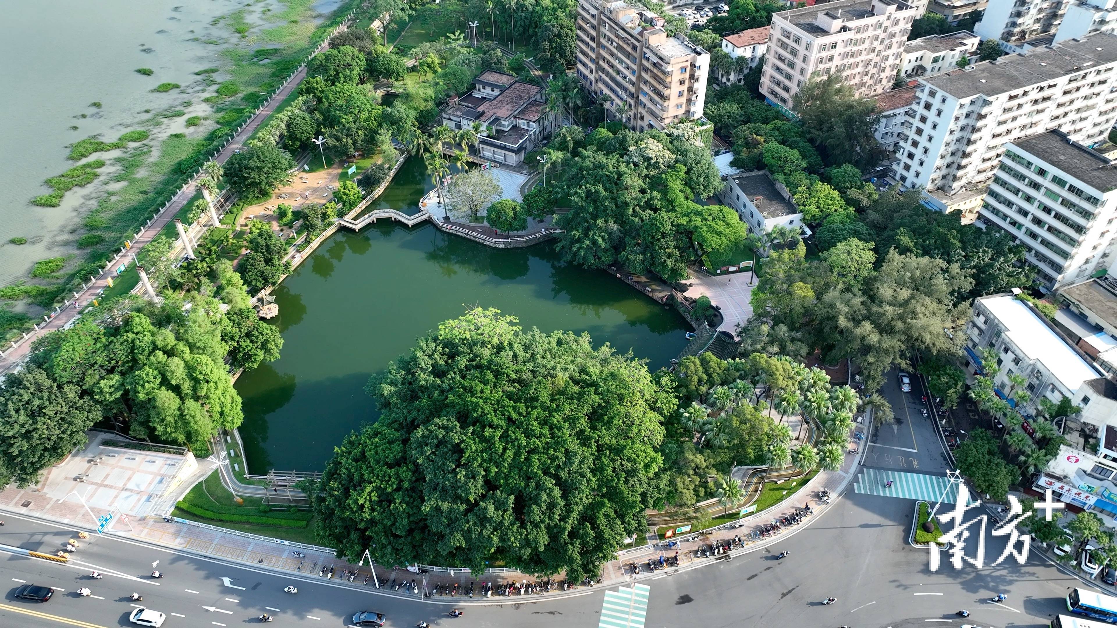 神马：澳门一码精准-开阳县扮靓城市“容颜” 提升城市“气质”  第1张