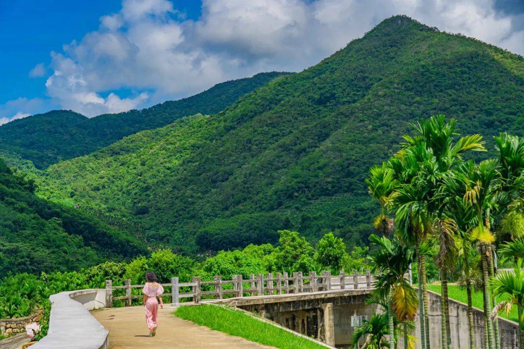 🌸腾讯【澳门六开彩天天开奖结果】-海绵城市概念11日主力净流出9971.74万元，东方雨虹、首创环保居前  第5张