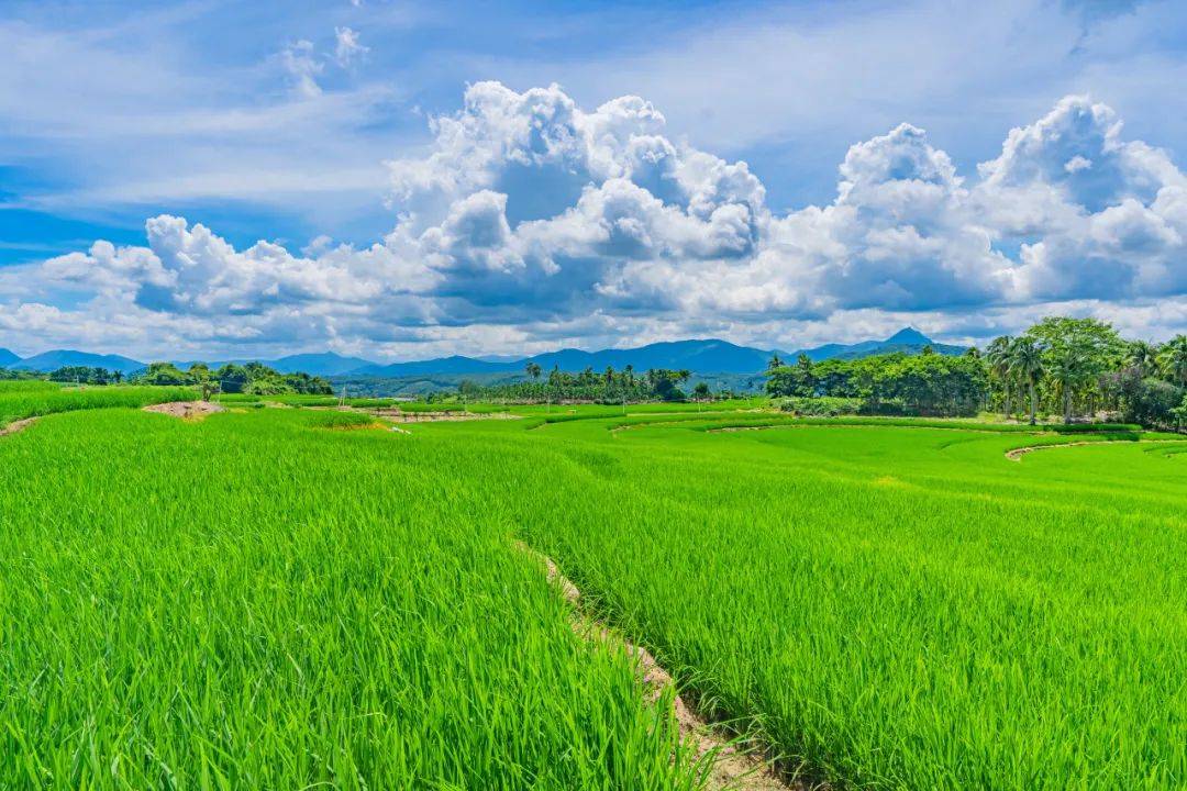 🌸爱奇艺【澳门一肖一码必中一肖一码】-全市创建全国禁毒示范城市工作推进会召开  第3张