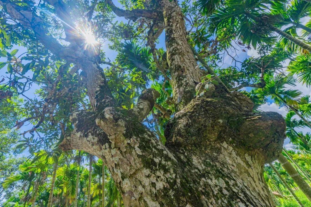 百度影音：澳门一码中精准一码资料-郑州入选暑期周边游 热门城市TOP10  第2张