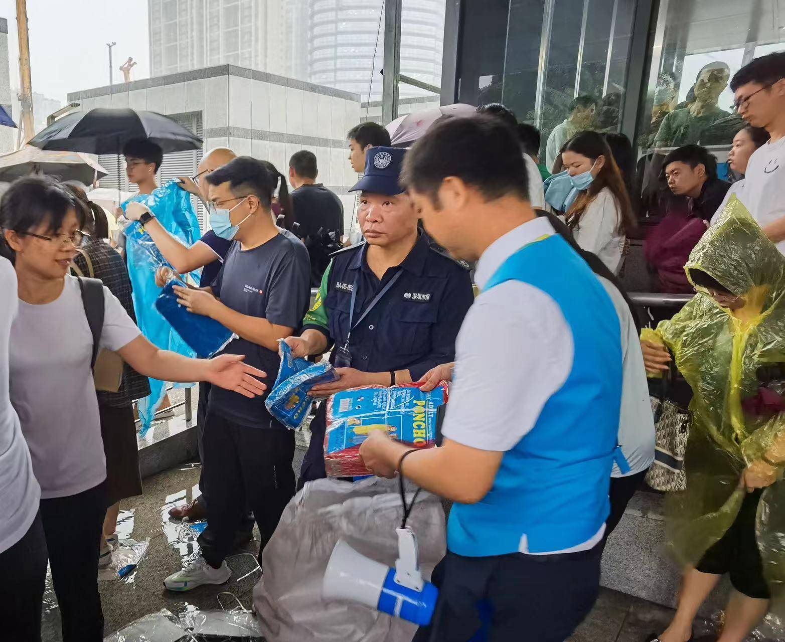 神马：澳门一码一码100准确-广州典实、佛山刀锋、深圳碧波获第13届城市冠军杯前三名  第6张