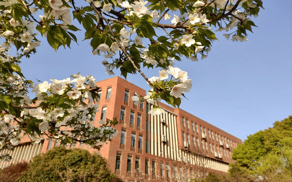 飞猪视频：新澳门内部资料精准大全软件-《花少好友记》在“花园城市”感受华人文化