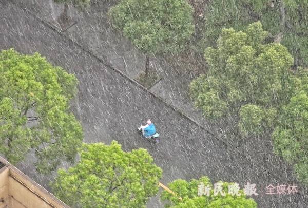 哔哩哔哩：新澳门内部资料精准大全-极目锐评|东湖绿道全线画圆，描绘城市以人为本的美丽画卷  第6张