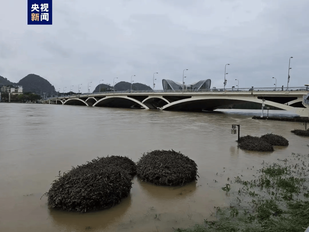 京东：澳门开奖记录开奖结果2024-以城市之窗展现浙江风采：杭州民营经济何以创未来？  第2张