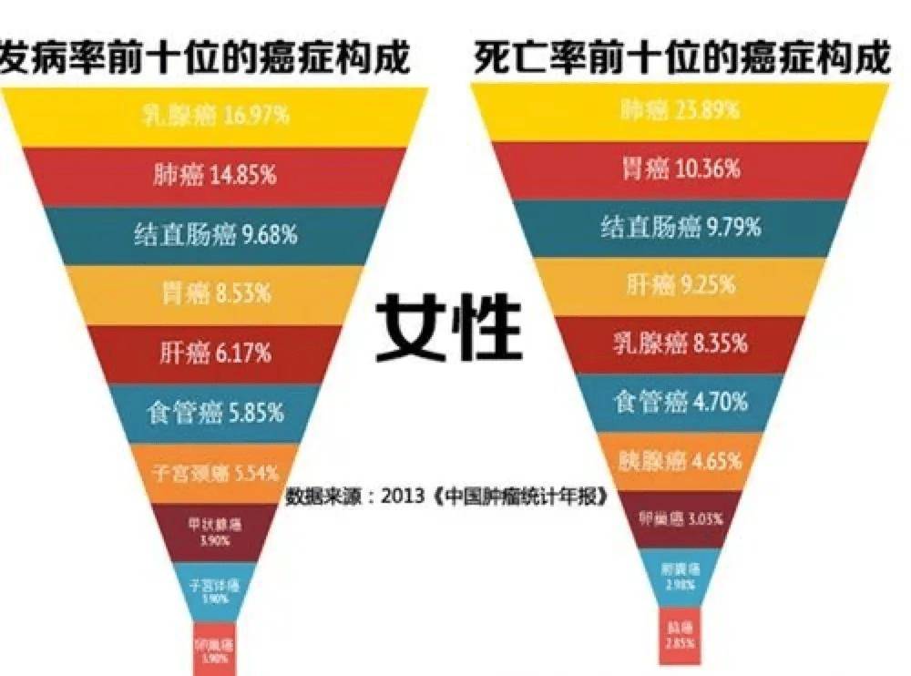 🌸皮皮虾【最准一肖一码一一子中特】-娱乐厂牌观察⑦：悬疑剧战争，好故事的胜利  第2张