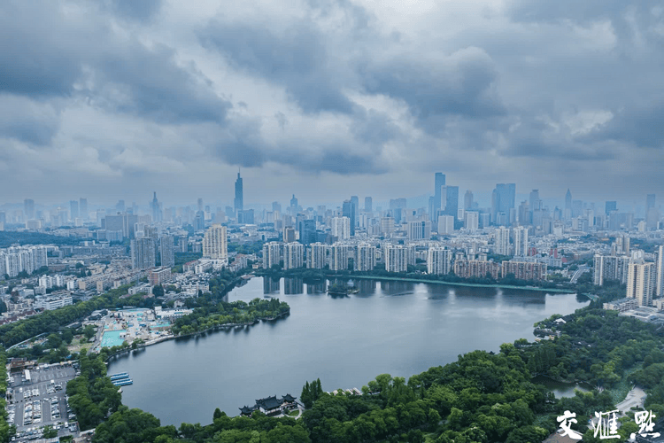 🌸今日【7777888888管家婆中特】-助力城市生物多样性保护！2024“奥迪中国自然城市行动”项目正式启动  第2张