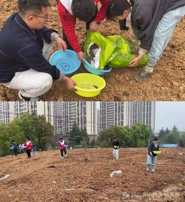 芒果影视：澳门一码一肖一特一中准选今晚-光影之约 | 人民城市成就电影与人的开阔未来