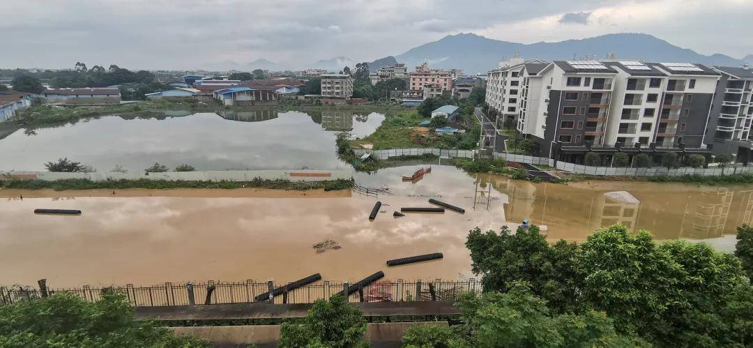 1905电影网：2024澳门正版资料免费大全-成都东西城市轴线沱江大桥建设迎来新进展  第3张