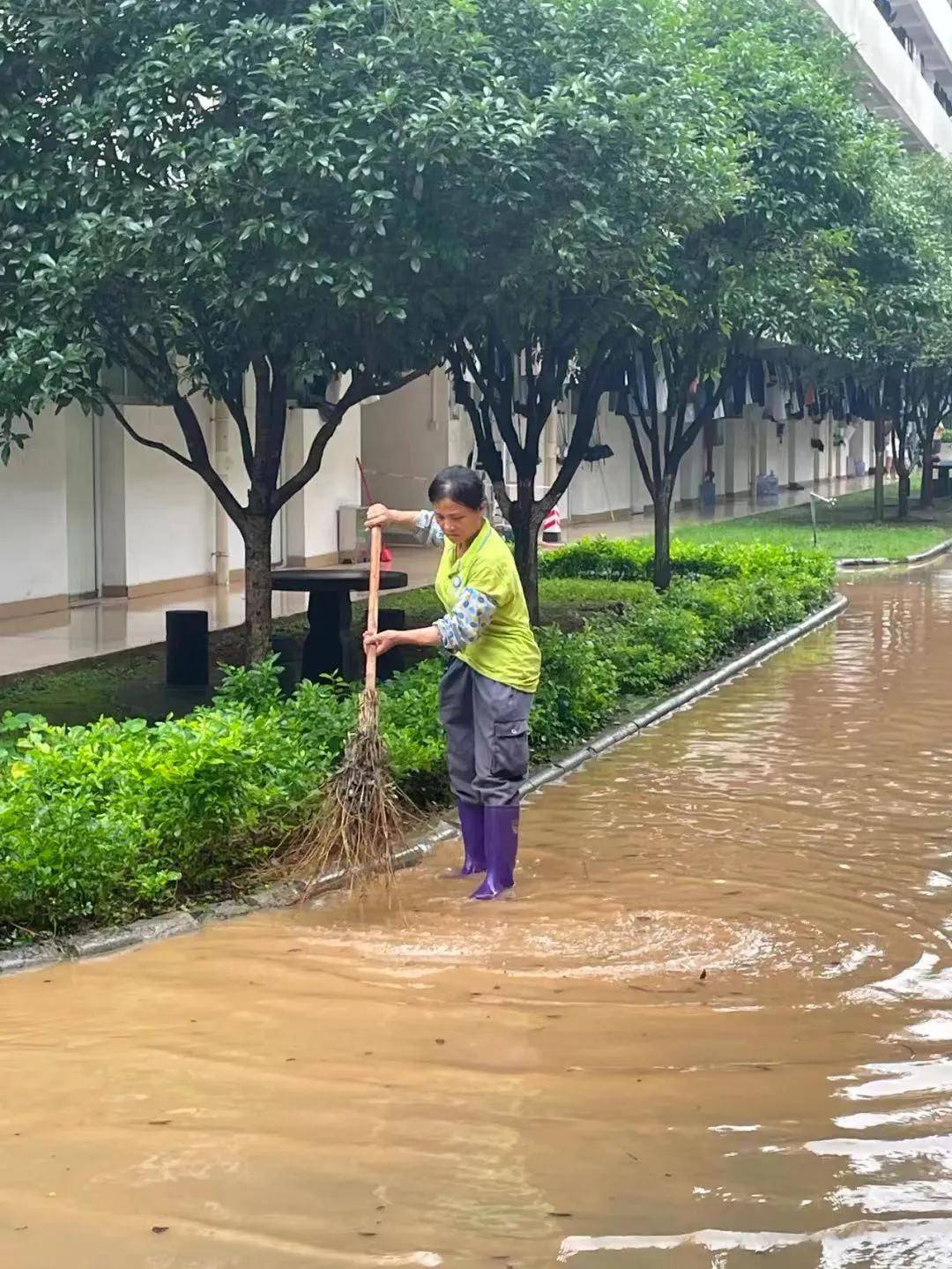 🌸抖音短视频【澳门一肖一码必中一肖一码】-攻坚102个项目，城市变变变！