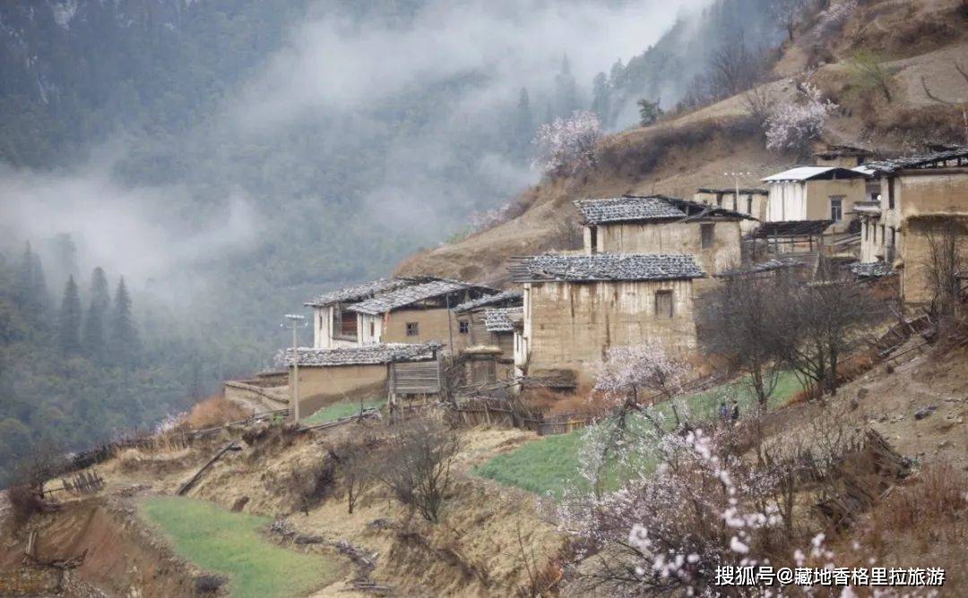 今日头条：澳门一码一肖100准今期指点-陕北民歌声声唱响深圳大剧院 福田专场音乐会演绎陕北民歌魅力  第3张