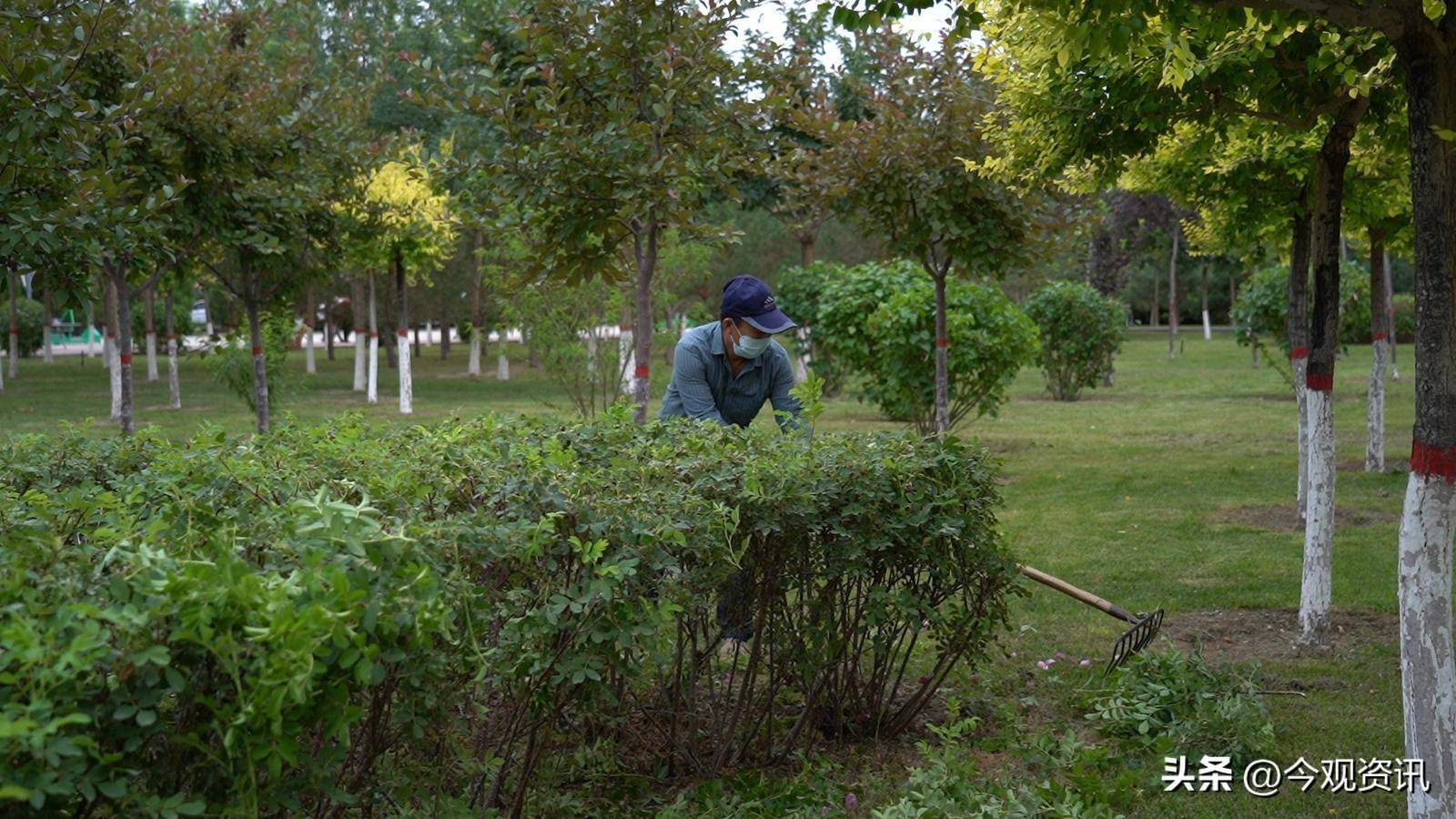 腾讯视频：澳门一码一肖一特一中资料-昆明市财政局支持建设高原湖滨海绵城市  第1张