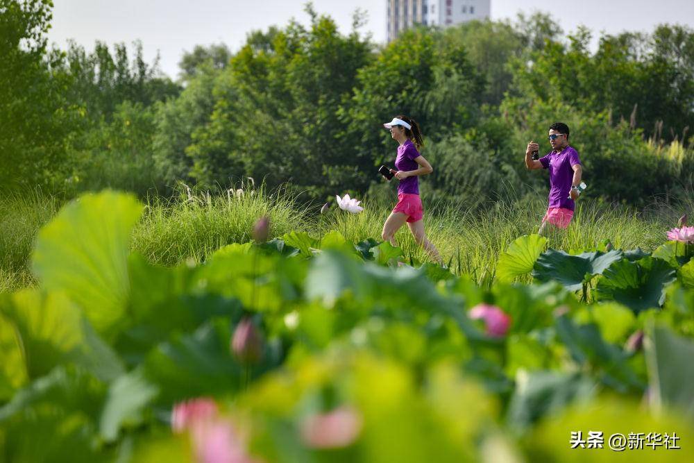 🌸飞猪视频【2024澳门资料大全免费】-做好城市与青年“双向奔赴”大文章  第2张