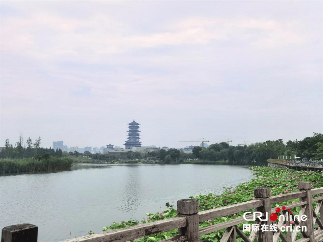 🌸官方【澳门一肖一码必中一肖一码】-恶心！网红面包被曝吃出异物，曾在不少城市创下排队记录  第2张