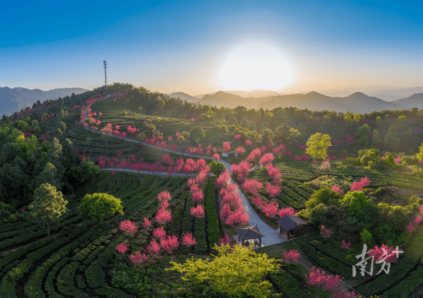 🌸好看视频【2024新奥历史开奖记录香港】-谭盾在成都与观众携手音乐之旅  第2张