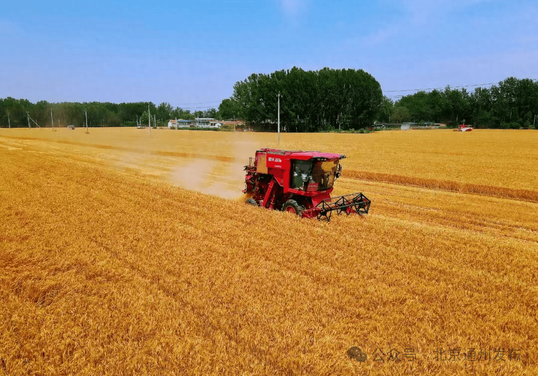 影音先锋：澳门一码一肖一特一中准选今晚-全国生态日 | 昆明翠湖：城市中的“生态样板间”  第2张