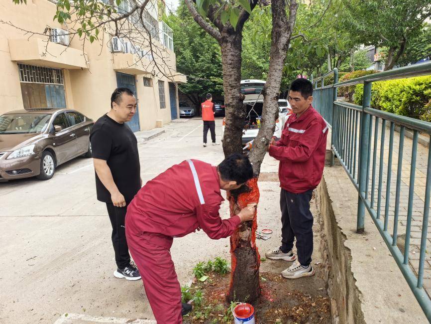 芒果影视：澳门一码一期期准中选料2022-南京雨花台区城管推进城市治理标准化单元长效管理