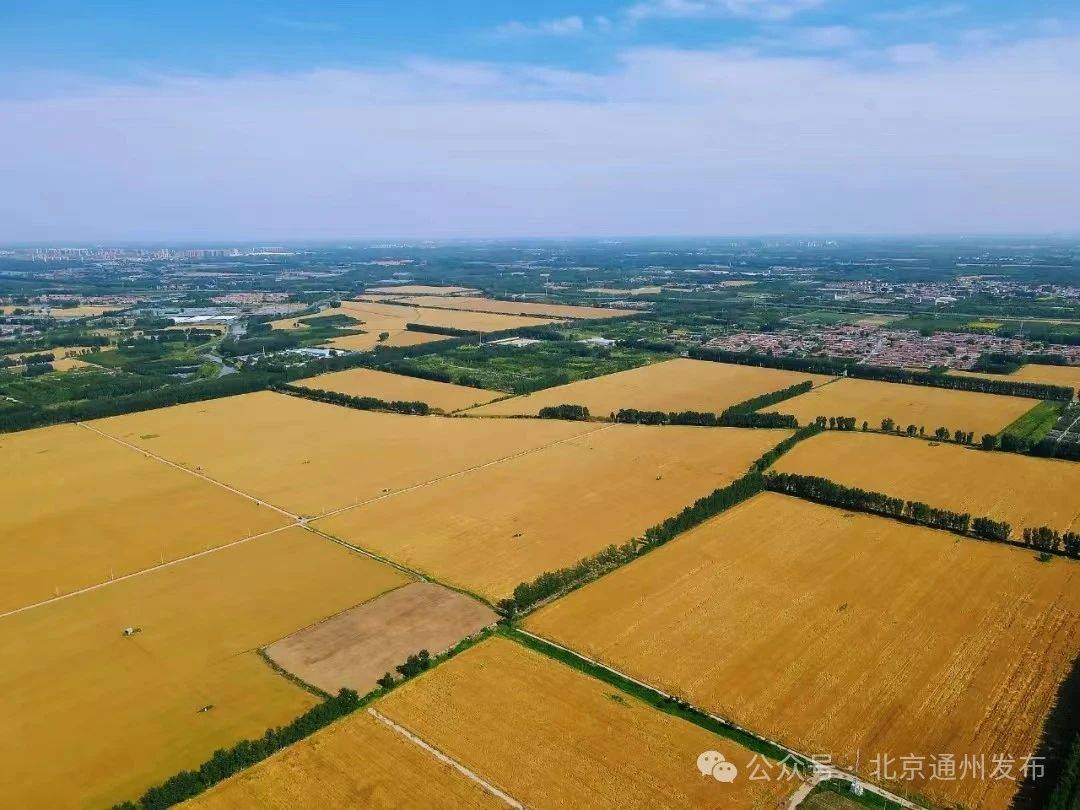 1905电影网：澳门一码一肖一特一中酷知经验网-中国容易迷路的三大城市：岔路多得让人崩溃，导航都不管用