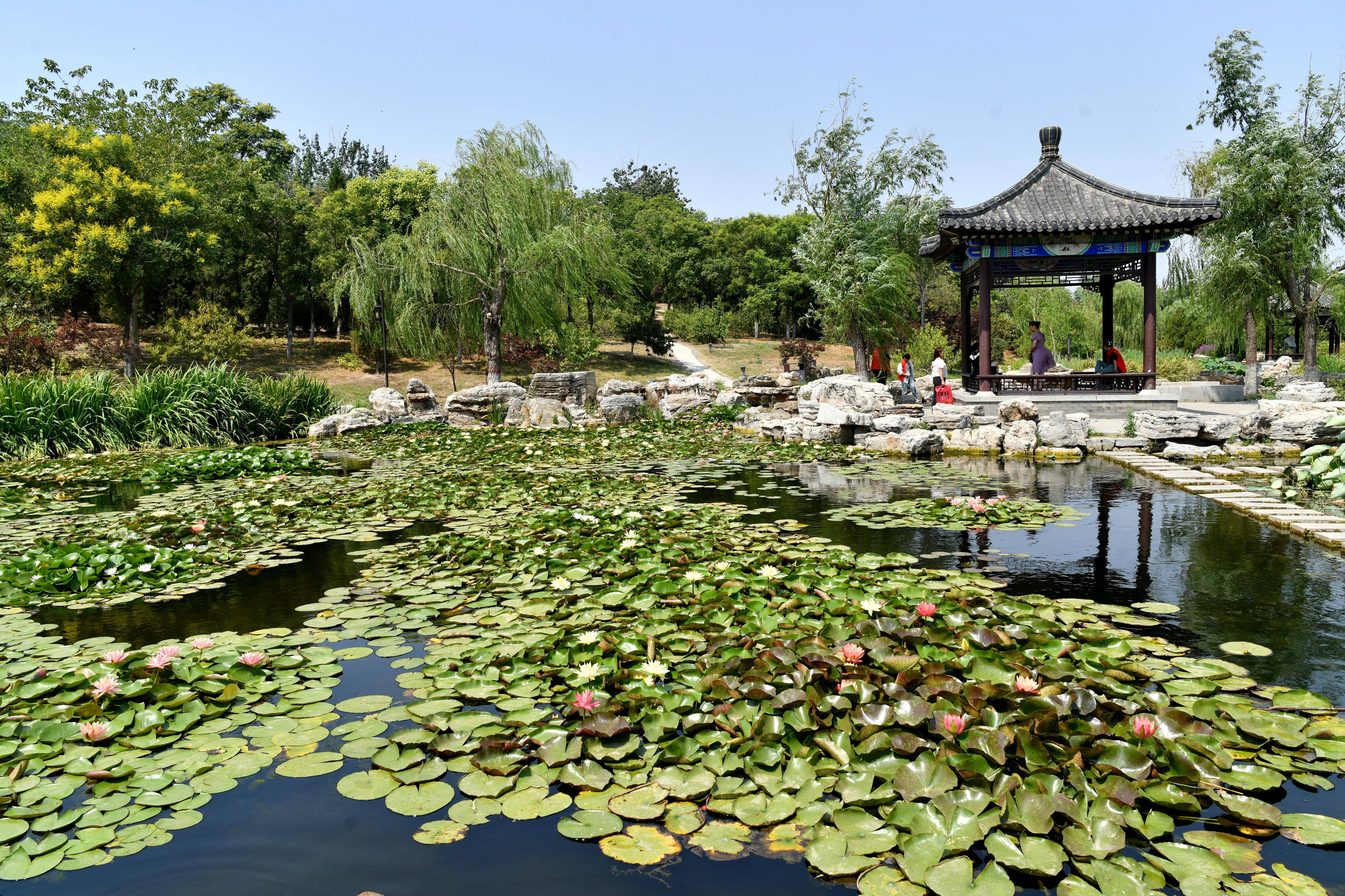 大众：澳门正版内部资料大公开-杭州“体育三进”地图正式揭晓，“会动的风景”为城市发展注入新动能  第4张