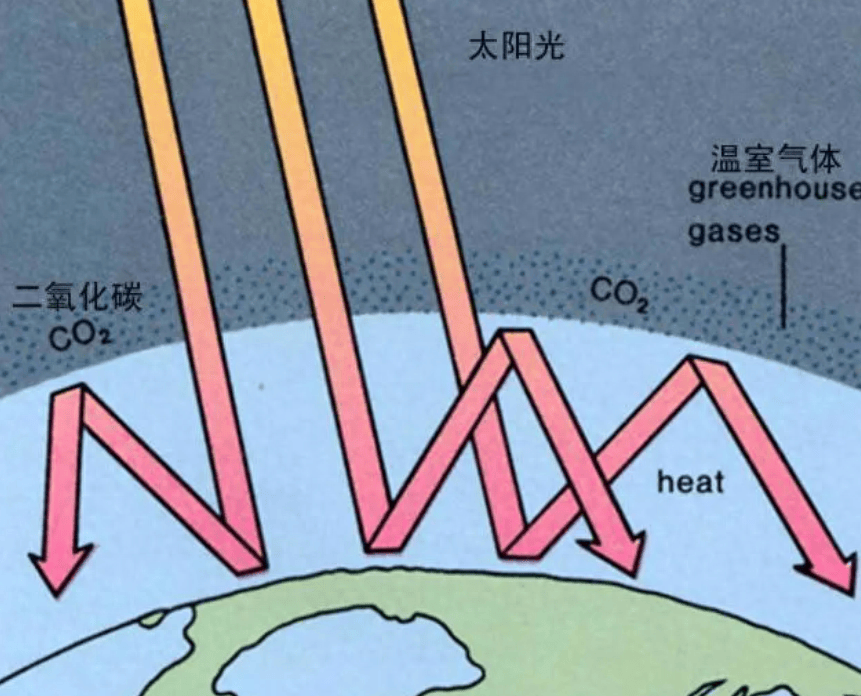 搜狗：2024澳门正版资料免费大全-鲁车牌字母代表城市