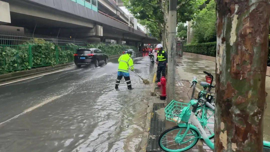 百度：澳门资料大全正版资料2024年免费-四川南充：做好绿色“理发师” 护好城市“风景线”  第4张