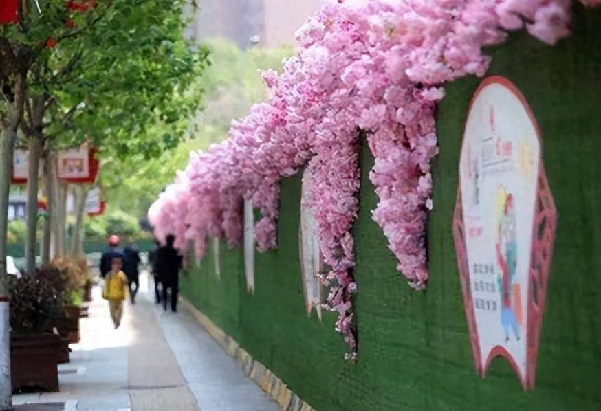 🌸京东【最准一肖一码一一子中特】-暖心服务护航高考，传递城市的善意与温情  第1张