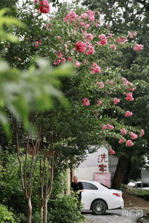 🌸抖音短视频【澳门一肖一码必中一肖一码】-智慧城市建设再添新助力 又一数字科技项目签约落地蓝谷  第4张