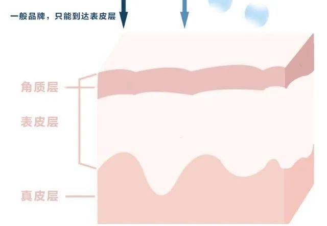 🌸澎湃新闻【澳门管家婆一肖一码100精准】-昔日男神因酒驾跌落谷底，被娱乐圈取消了