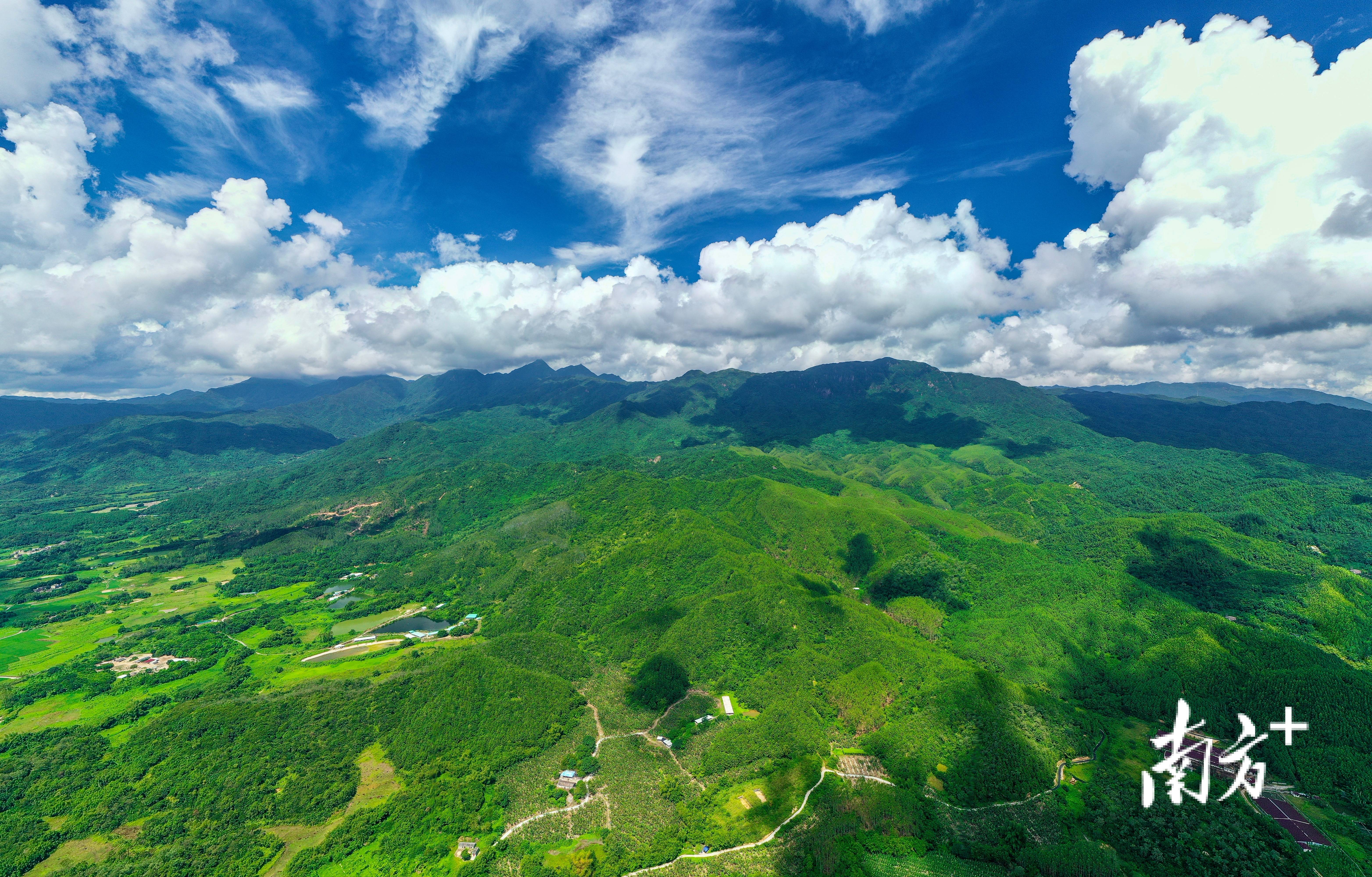 🌸网易视频【2024正版资料大全免费】-在中国低调富饶的二线城市，山姆和本土会员店必有一战