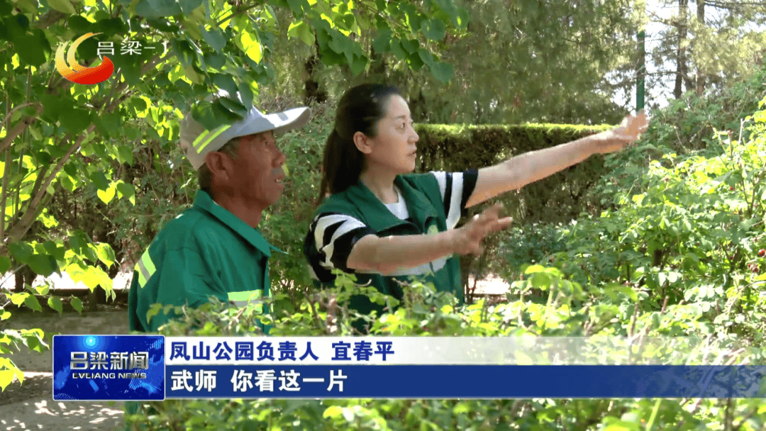 🌸好看视频【2024新奥历史开奖记录香港】-西北唯一的国际湿地城市，做过189年都城，被誉为“塞上江南”